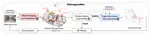 Imaginative world modeling with scene graphs for embodied agent navigation [ICCV 2025 Demo Track]